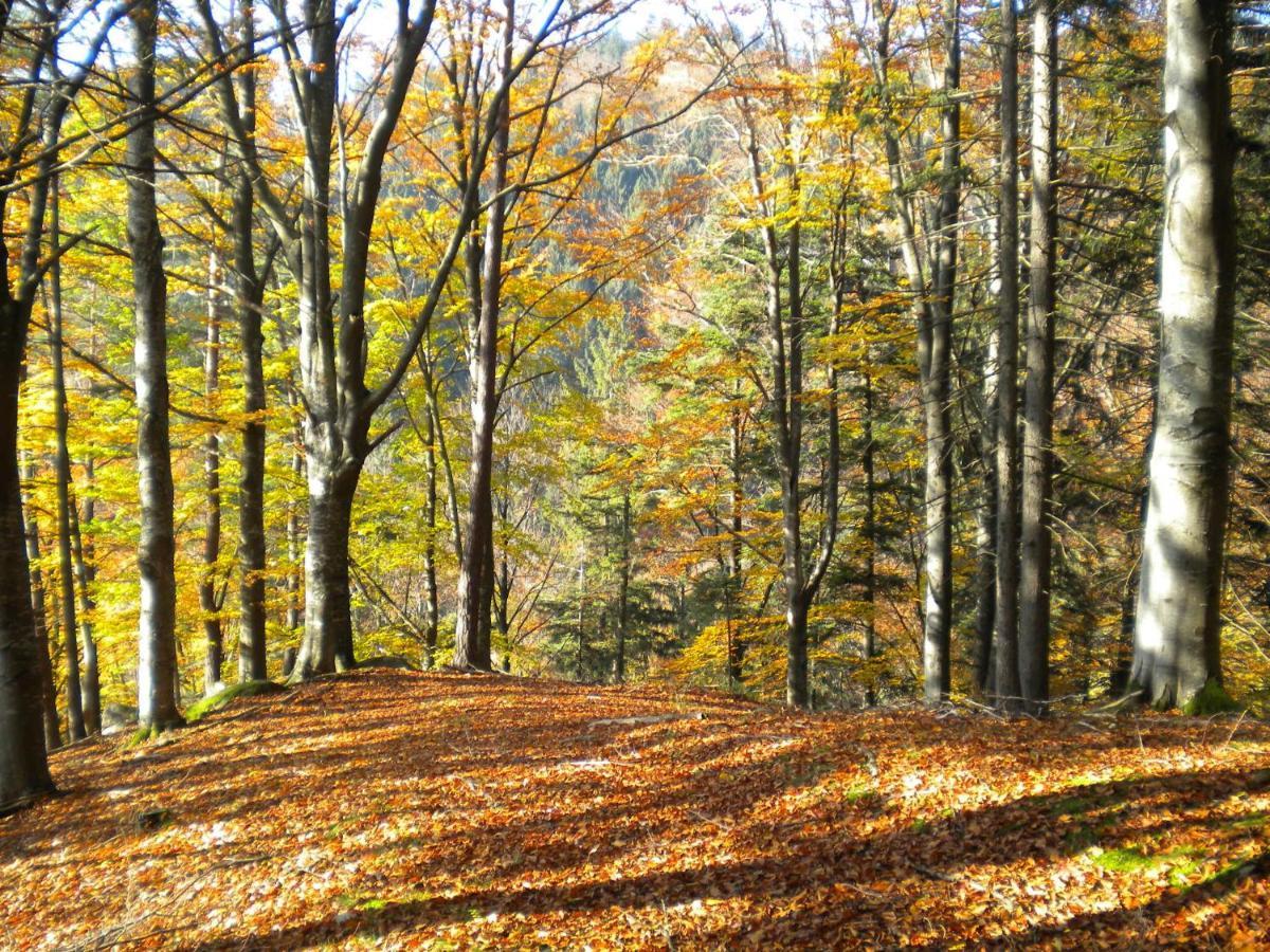 Gaestezimmer Weiss Maria Taferl Bagian luar foto
